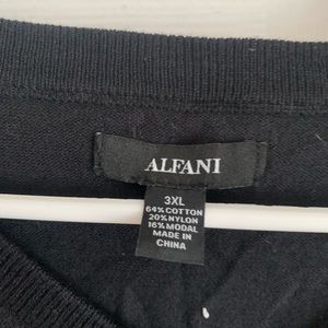 Black Alfani vneck sweater